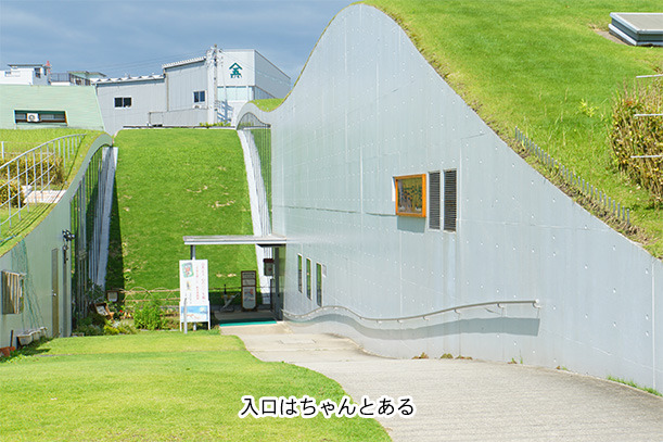 VgLO