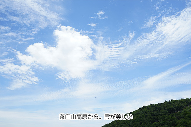 茶臼山高原道路